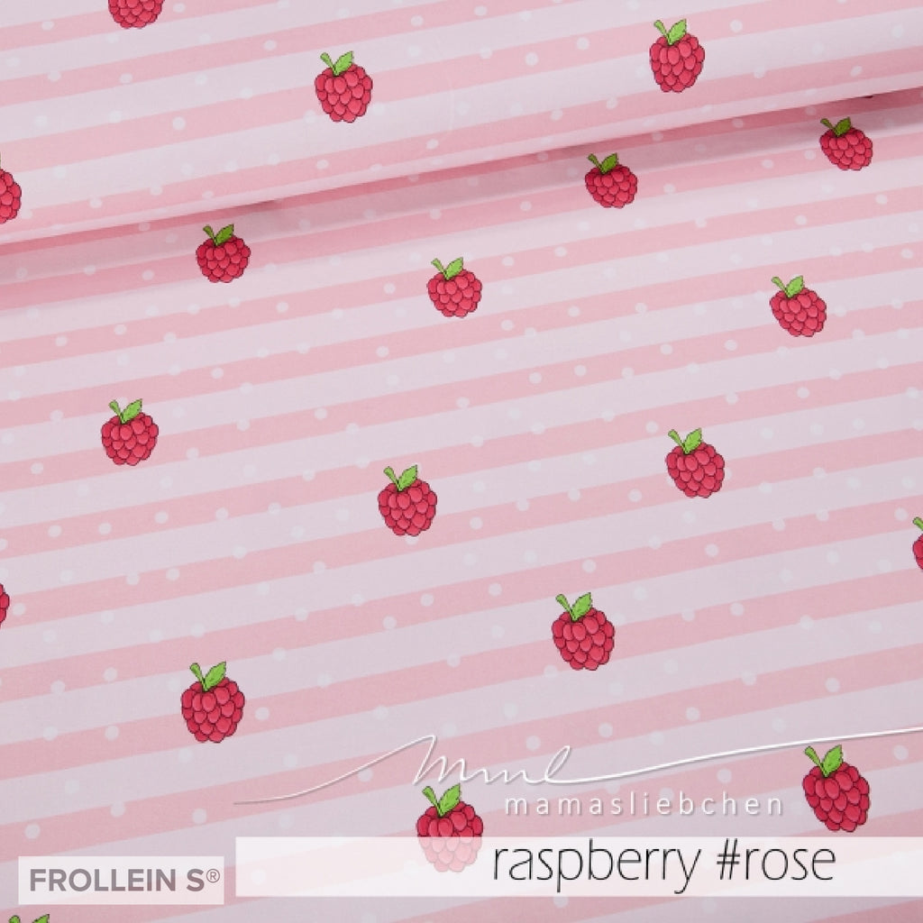 Cotton Jersey - Malina - Raspberry Stripes - Rose
